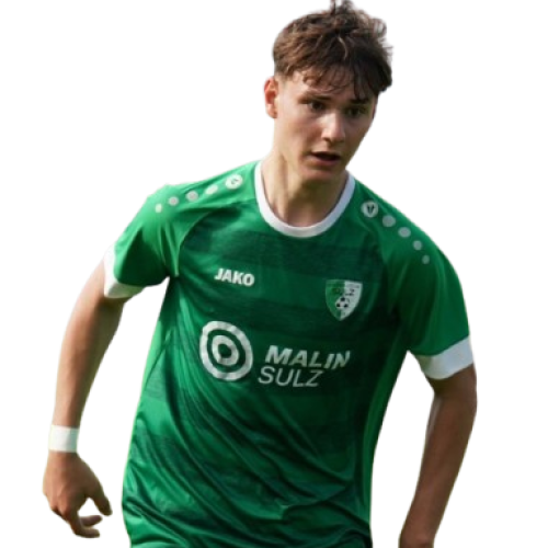 Copy_of_Pofilbild_-_Gregor_Nitz-removebg-preview