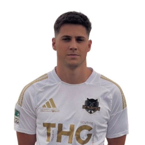 Copy_of_Profilbild_-_Maximilian_Sieber-removebg-preview